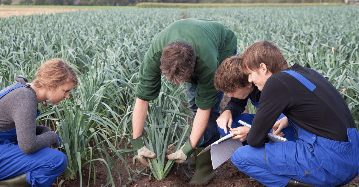 Agricultural Manager