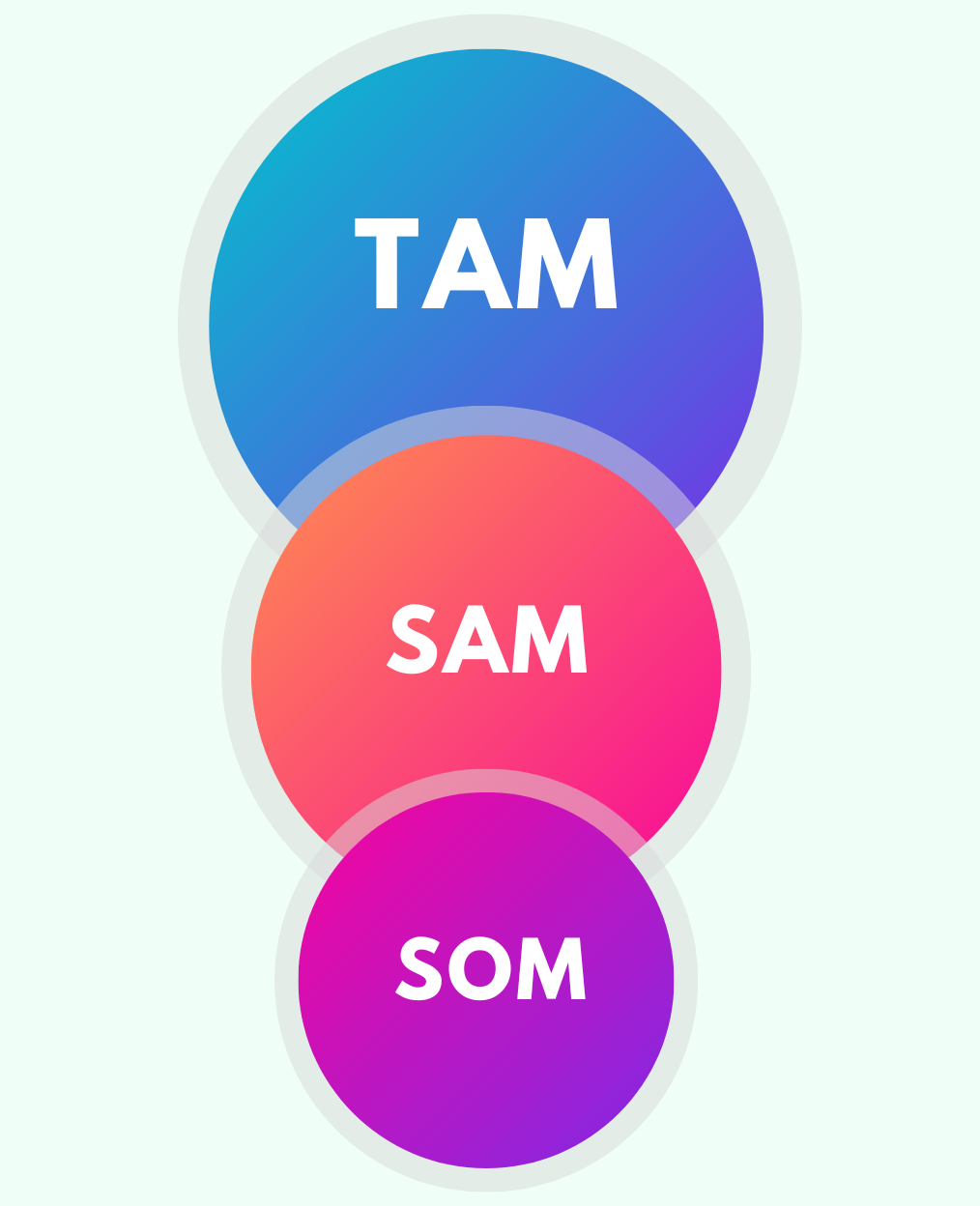 TAM SAM SOM